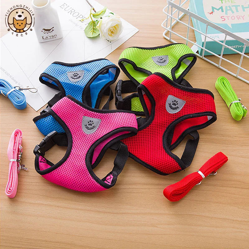 "Cool Paws Breathable Harness & Leash Set"