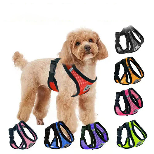 "Cool Paws Breathable Harness & Leash Set"