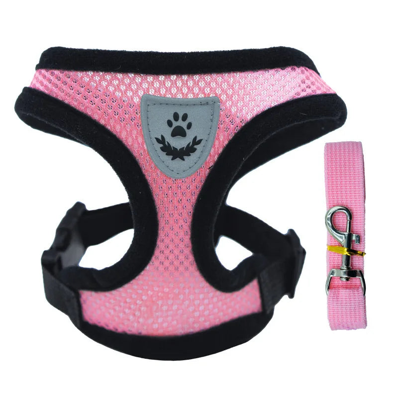 "Cool Paws Breathable Harness & Leash Set"