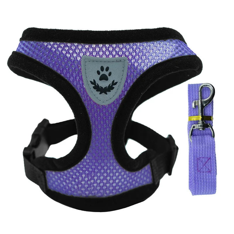 "Cool Paws Breathable Harness & Leash Set"
