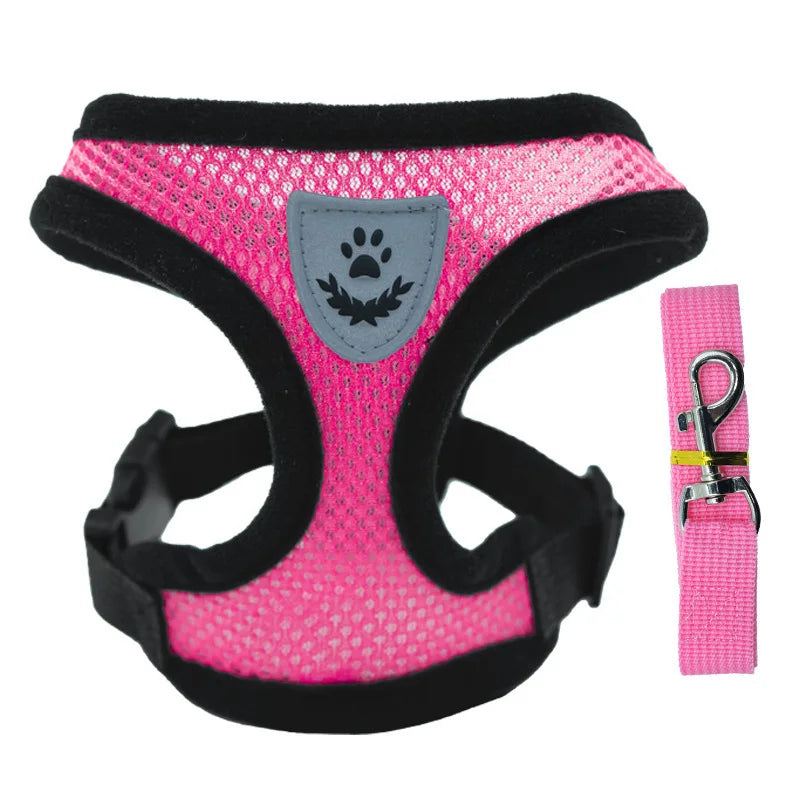 "Cool Paws Breathable Harness & Leash Set"