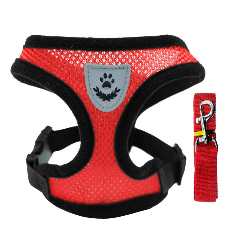 "Cool Paws Breathable Harness & Leash Set"