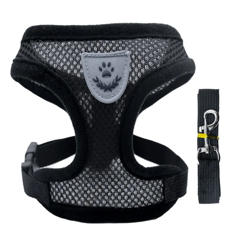 "Cool Paws Breathable Harness & Leash Set"