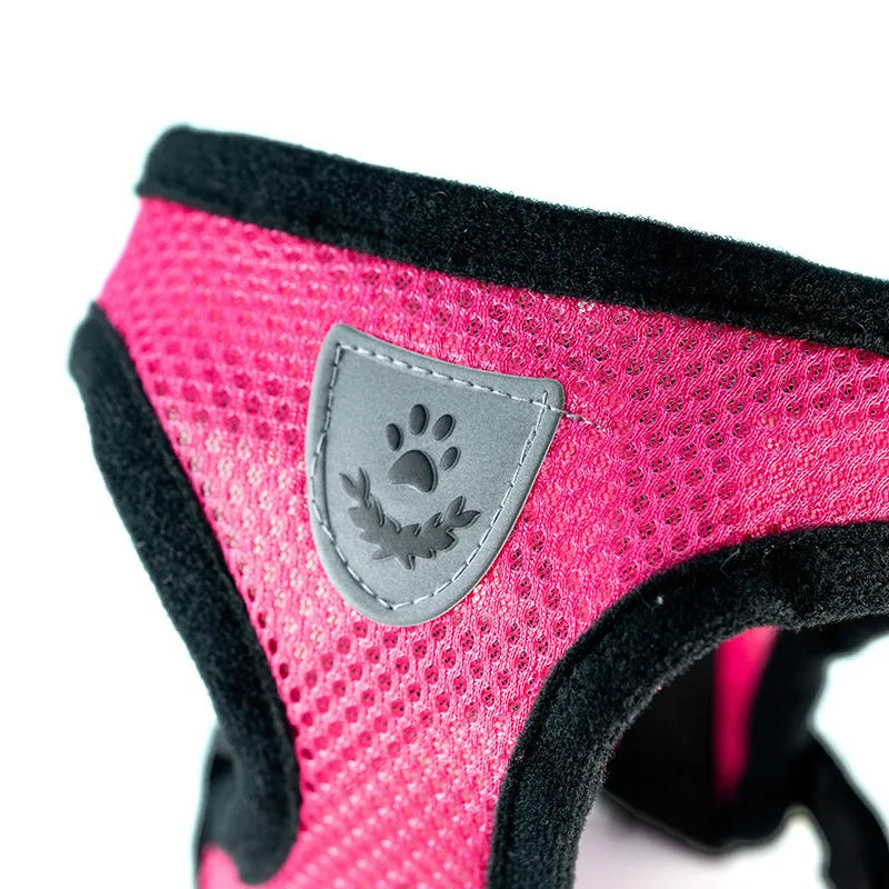 "Cool Paws Breathable Harness & Leash Set"