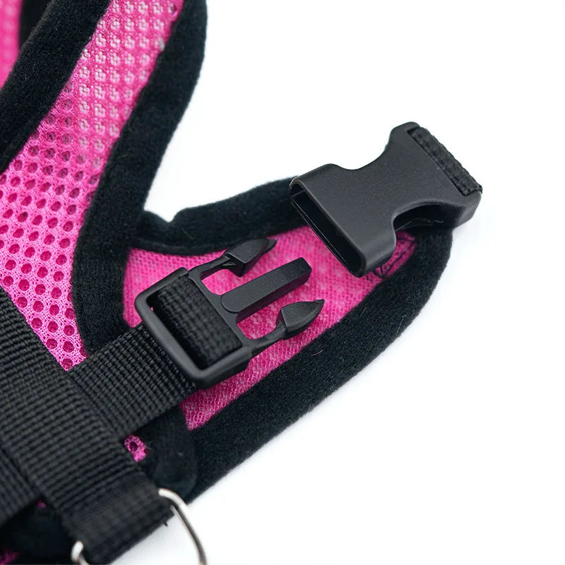 "Cool Paws Breathable Harness & Leash Set"