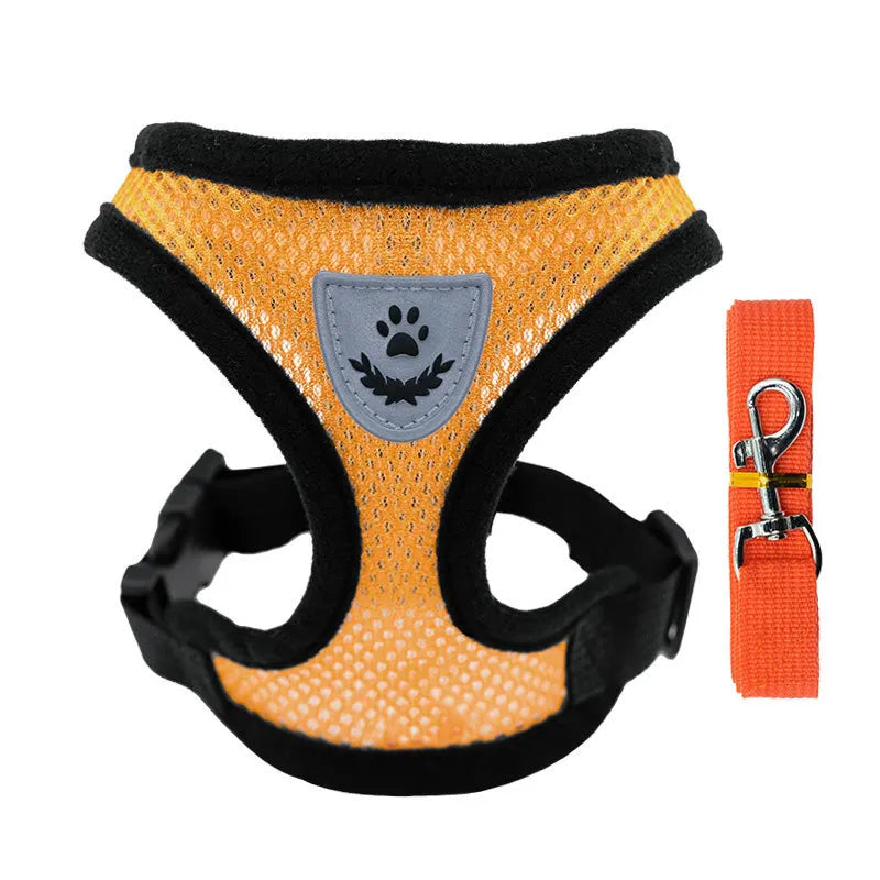 "Cool Paws Breathable Harness & Leash Set"