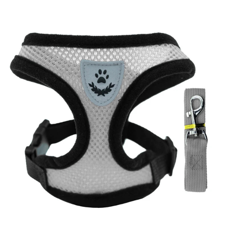 "Cool Paws Breathable Harness & Leash Set"