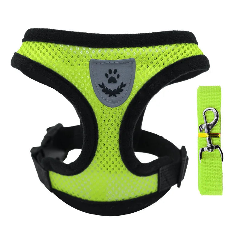 "Cool Paws Breathable Harness & Leash Set"