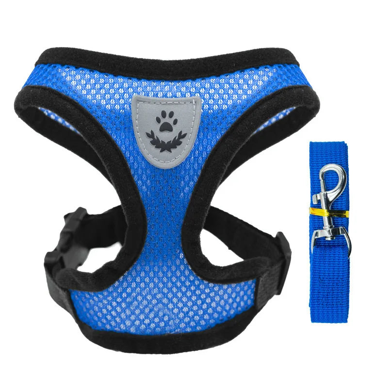 "Cool Paws Breathable Harness & Leash Set"